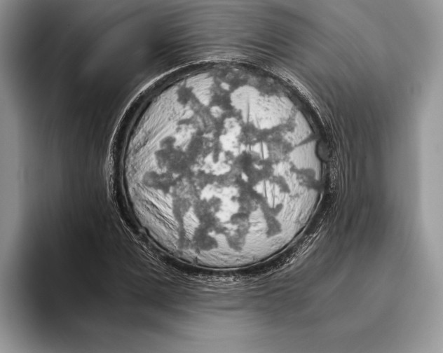 X0000093410975200711091356