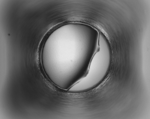 X0000093410976200711091356