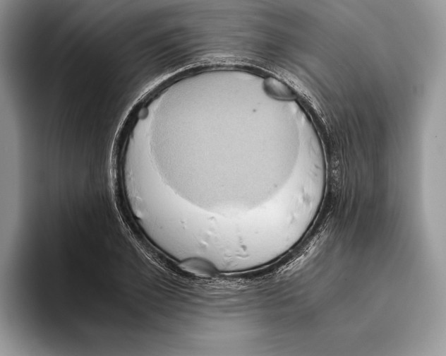 X0000093410981200711091356