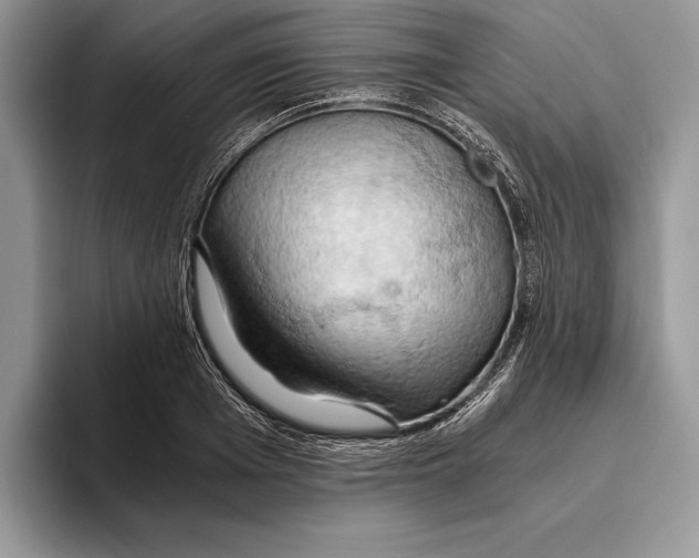 X0000093410985200711091356