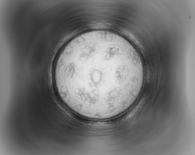 X0000093410986200711091356