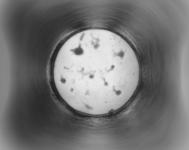 X0000093410987200711091356