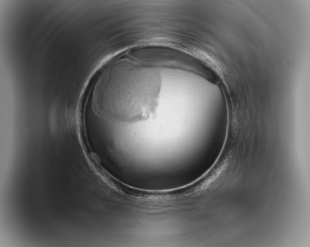 X0000093410989200711091356