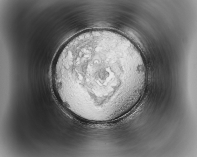 X0000093410990200711091356