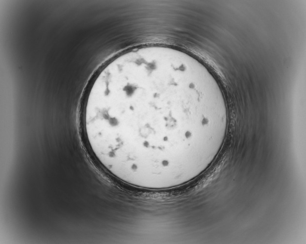 X0000093410991200711091356