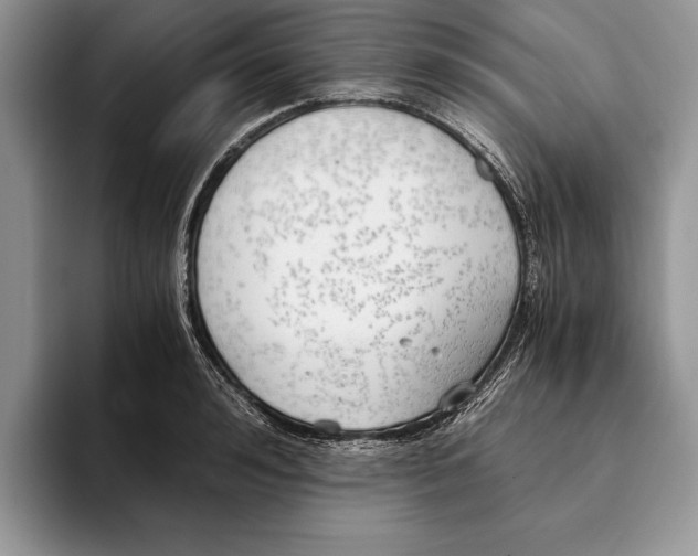 X0000093410992200711091356