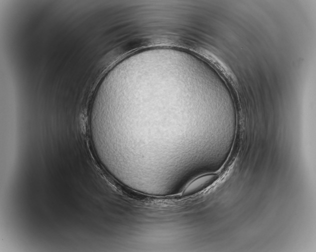 X0000093410993200711091356