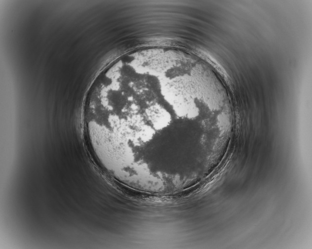 X0000093410994200711091356