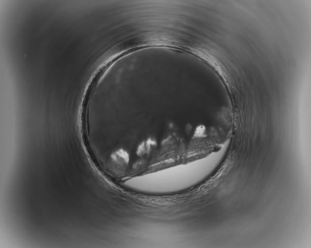 X0000093410995200711091356