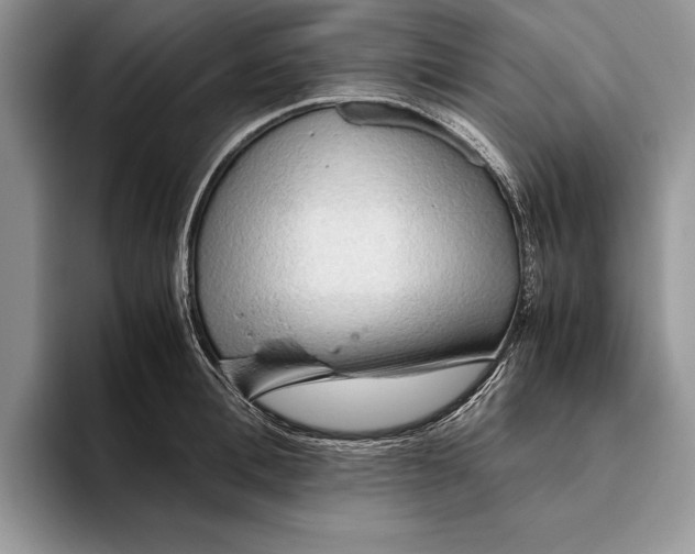 X0000093410996200711091356