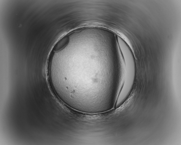 X0000093410997200711091356