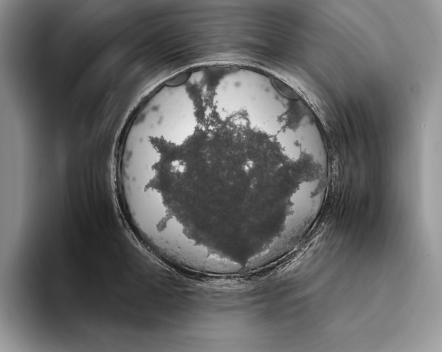 X0000093410998200711091356