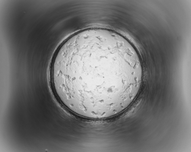 X0000093410999200711091356