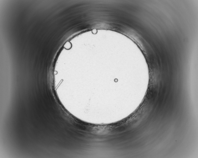 X0000093411000200711091356