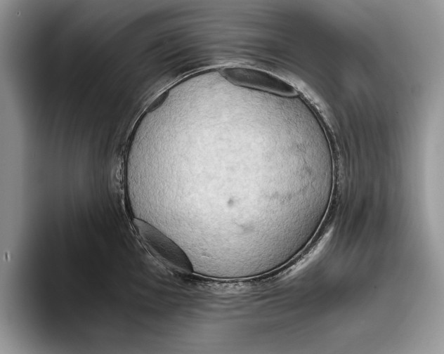 X0000093411001200711091356