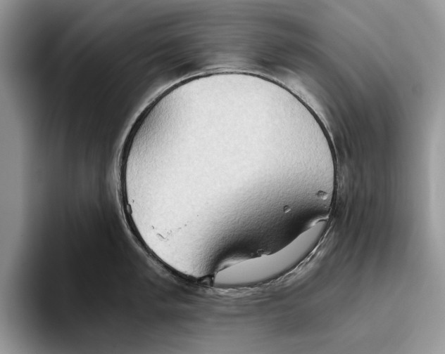 X0000093411005200711091356