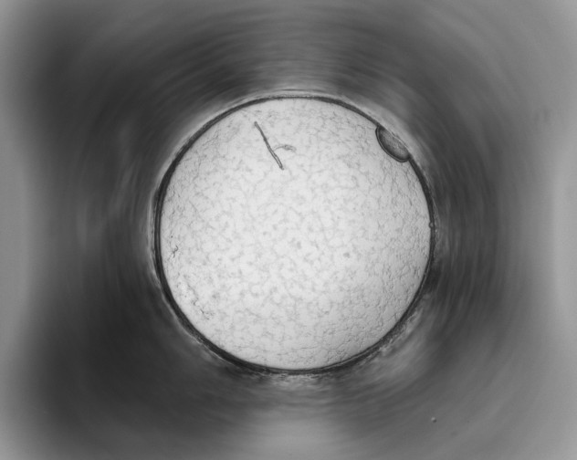 X0000093411006200711091356