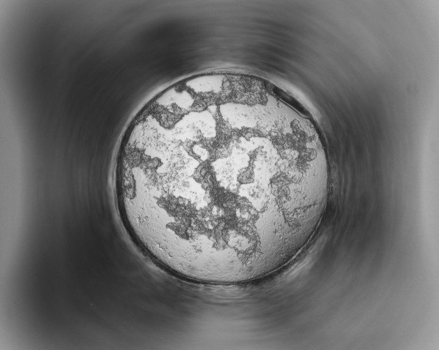 X0000093411007200711091356