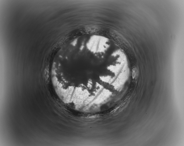 X0000093411011200711091355