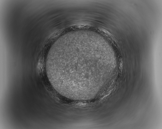 X0000093411014200711091355