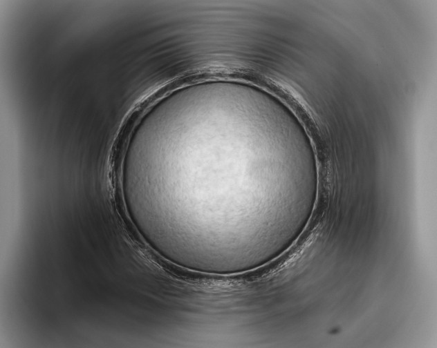 X0000093411018200711091355