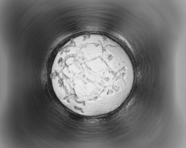 X0000093411019200711091355