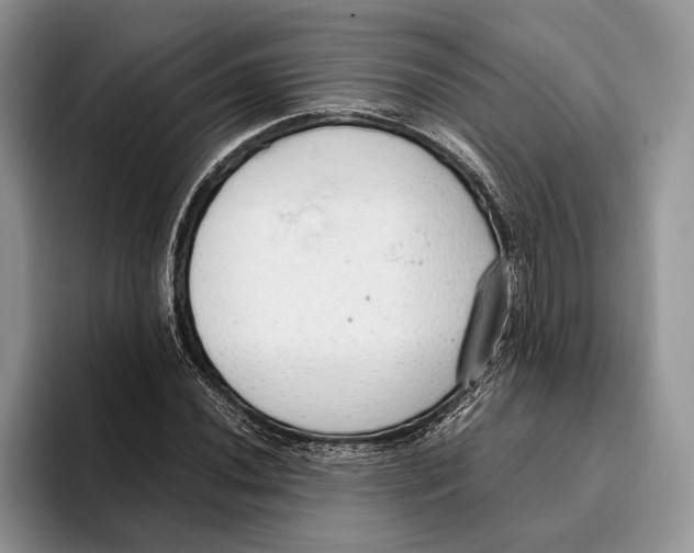 X0000093411020200711091355