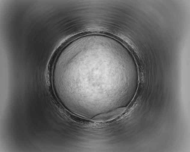 X0000093411022200711091355