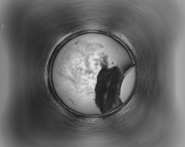 X0000093411024200711091355