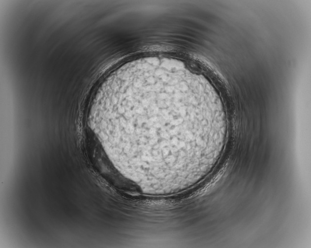 X0000093411025200711091355