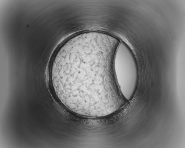 X0000093411032200711091355