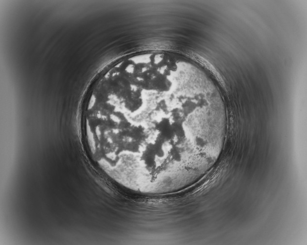 X0000093411035200711091355