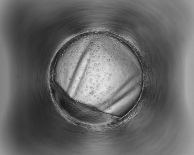 X0000093411038200711091355