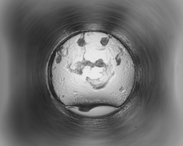 X0000093411039200711091355