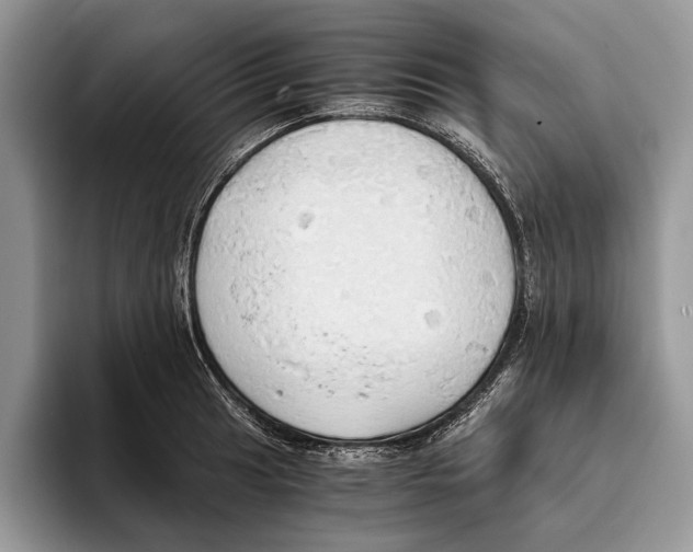 X0000093411041200711091355