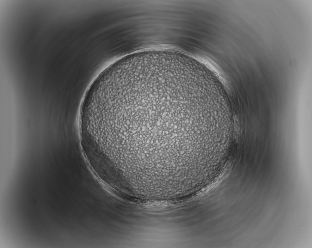 X0000093411046200711091355