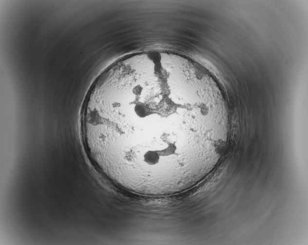 X0000093411047200711091355