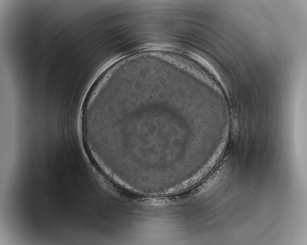 X0000093411050200711091356