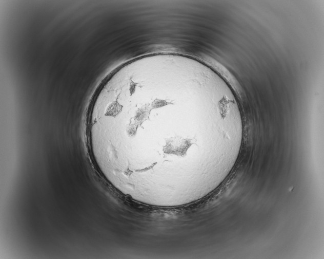 X0000093411051200711091356