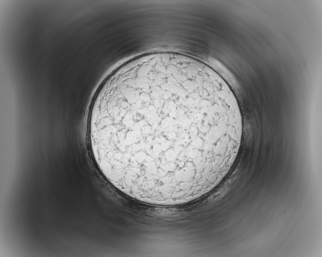 X0000093411052200711091356