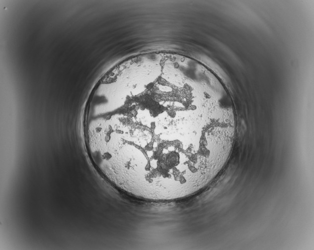 X0000093411055200711091356