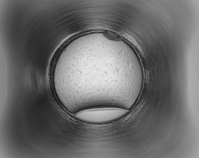 X0000093411068200711091355