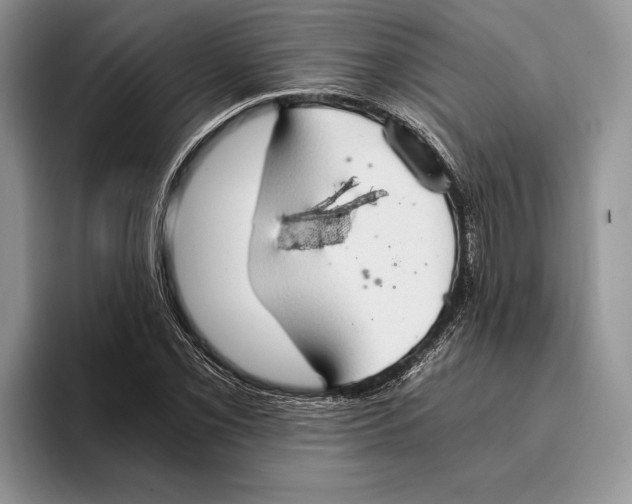 X0000093411069200711091355