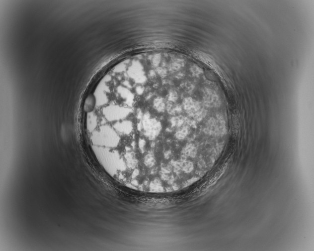 X0000093411071200711091355