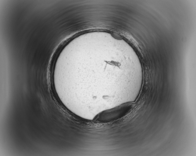 X0000093411072200711091355