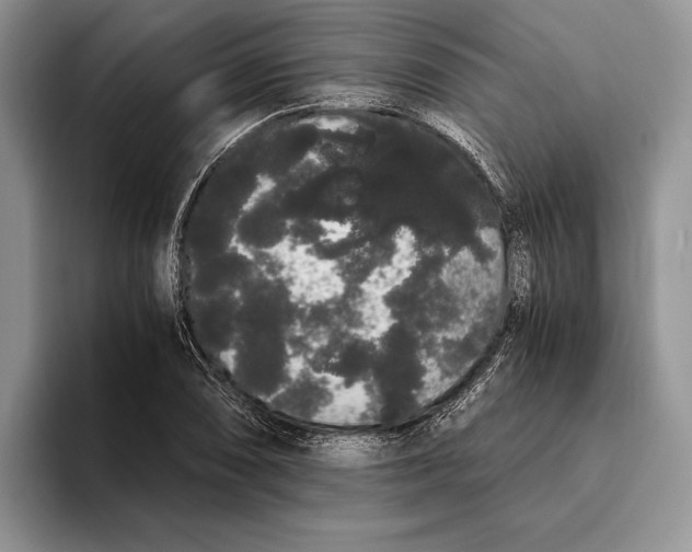 X0000093411074200711091355