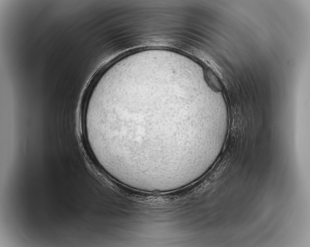 X0000093411080200711091355