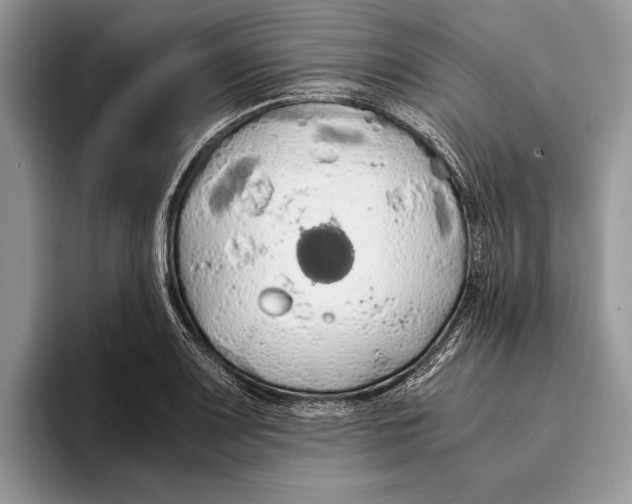 X0000093411083200711091355