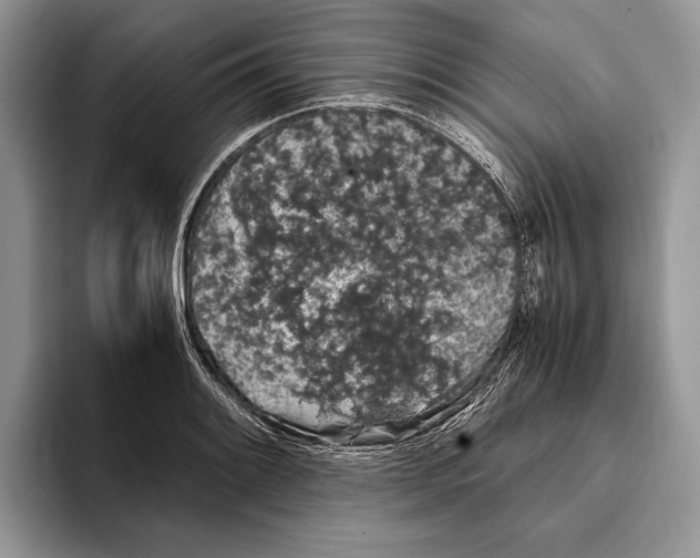 X0000093411084200711091355