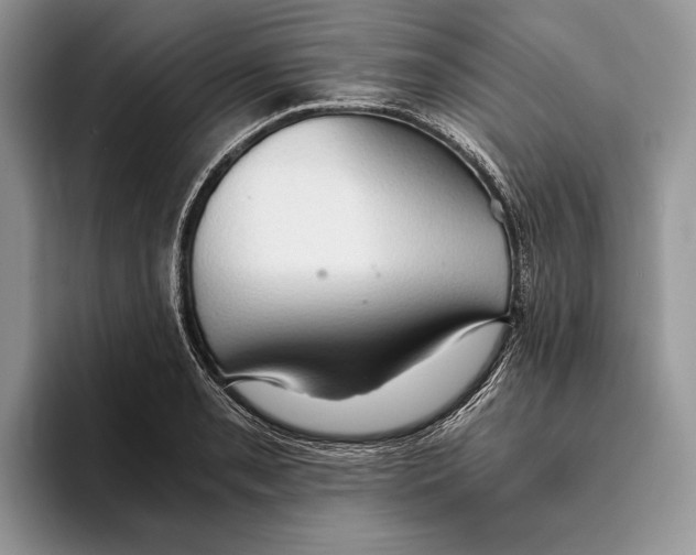 X0000093411085200711091355